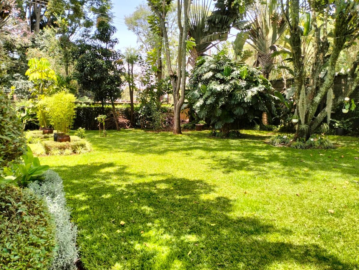 1.3 ac Land at Arguing Kodheck Road - 2