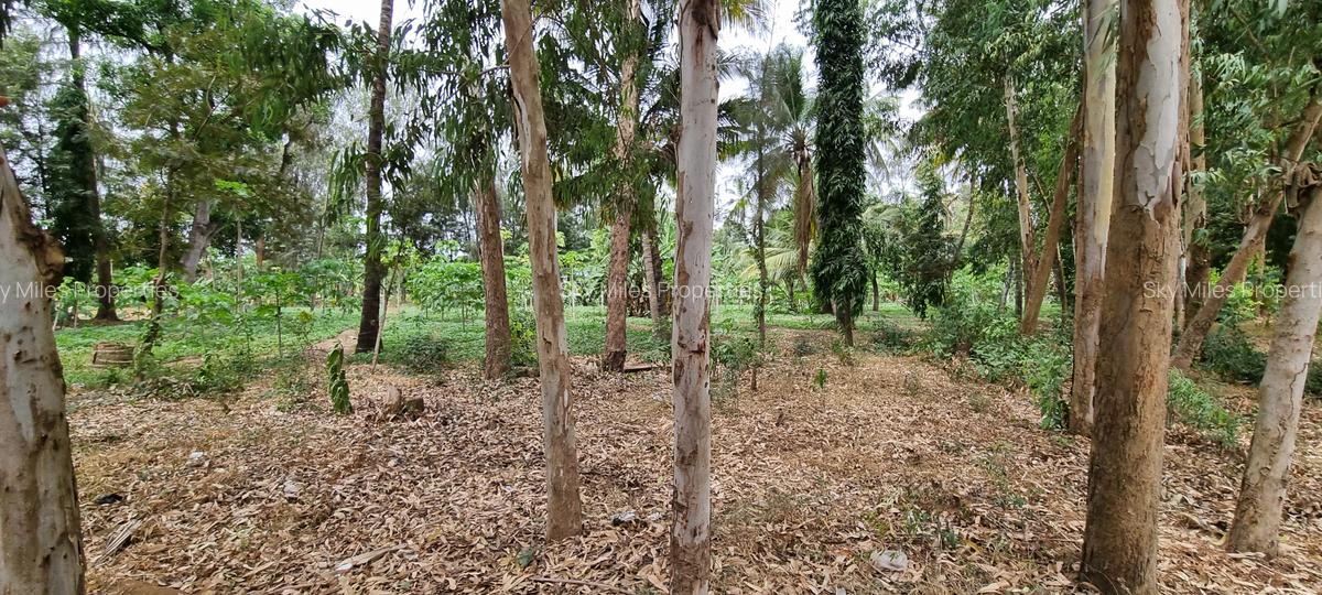 1 ac Commercial Land at Mtwapa - 11