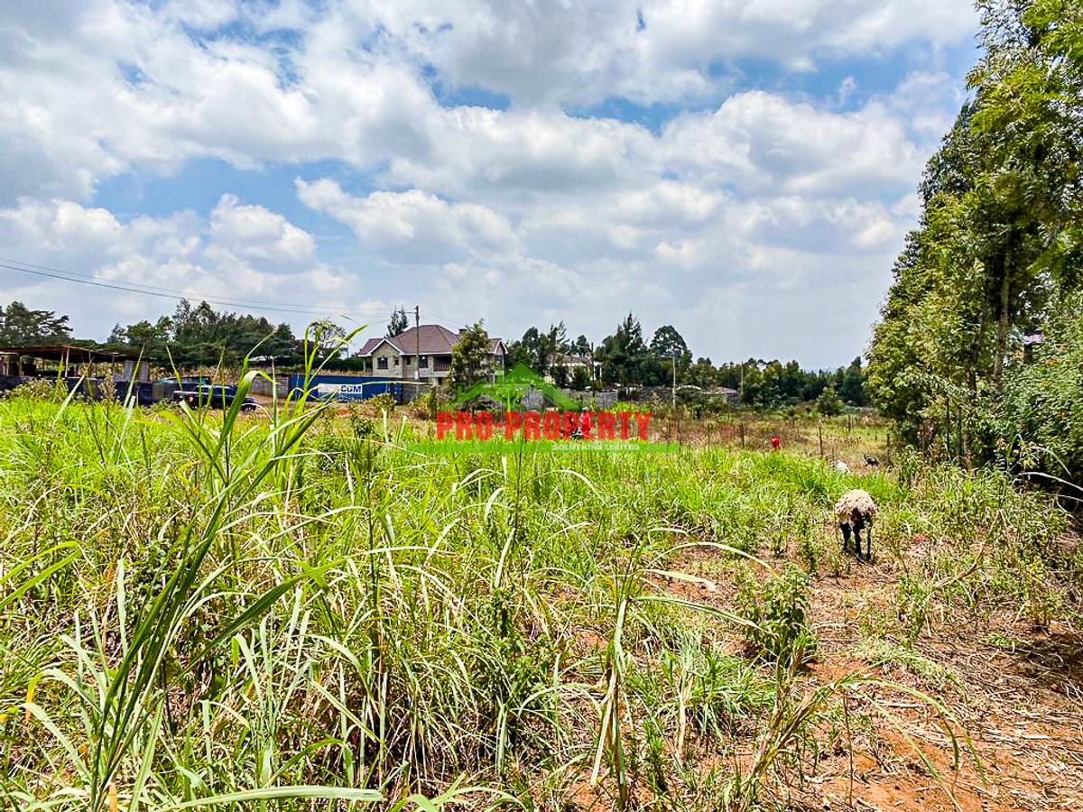 0.2 ha Land at Kamangu - 4