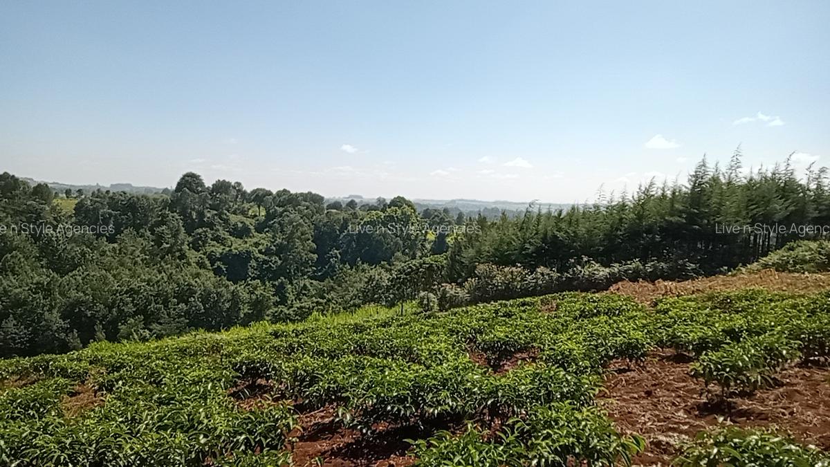 Residential Land in Redhill - 4