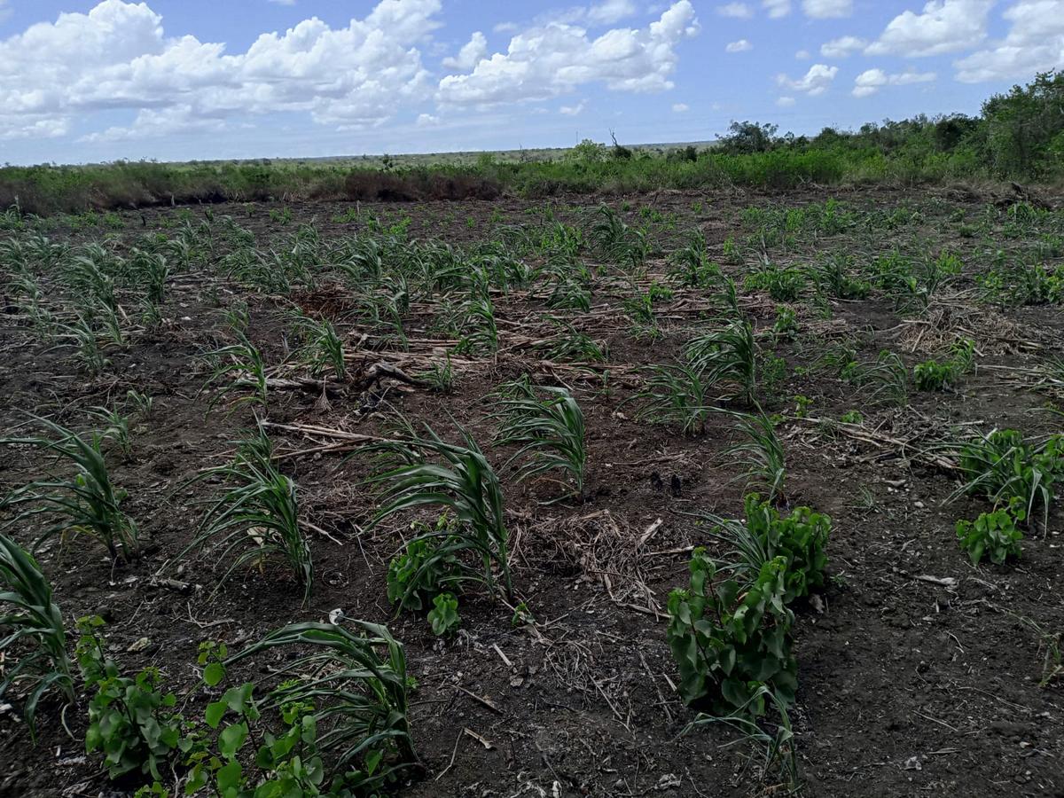 12 ha Land at Malindi -Lamu Highway - 3