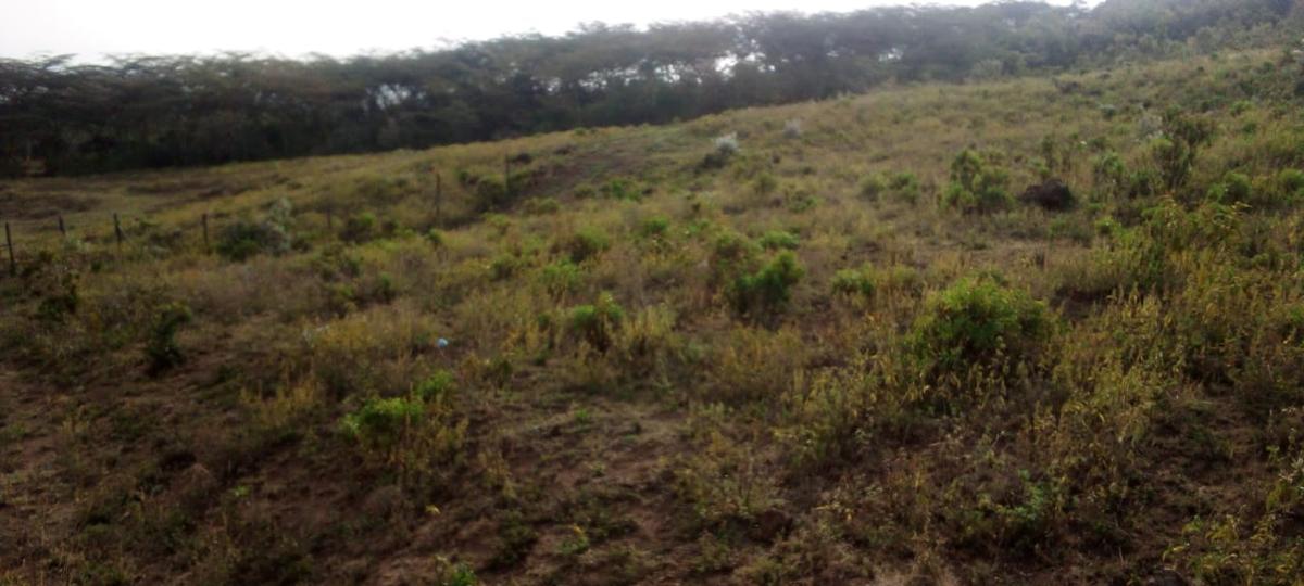 1 ac Land at Mai Mahiu - 1