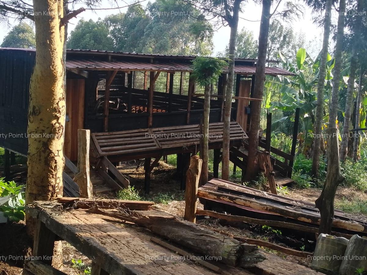 2.5 ac Land at Village (Mbiriri Muthaiga) - 4