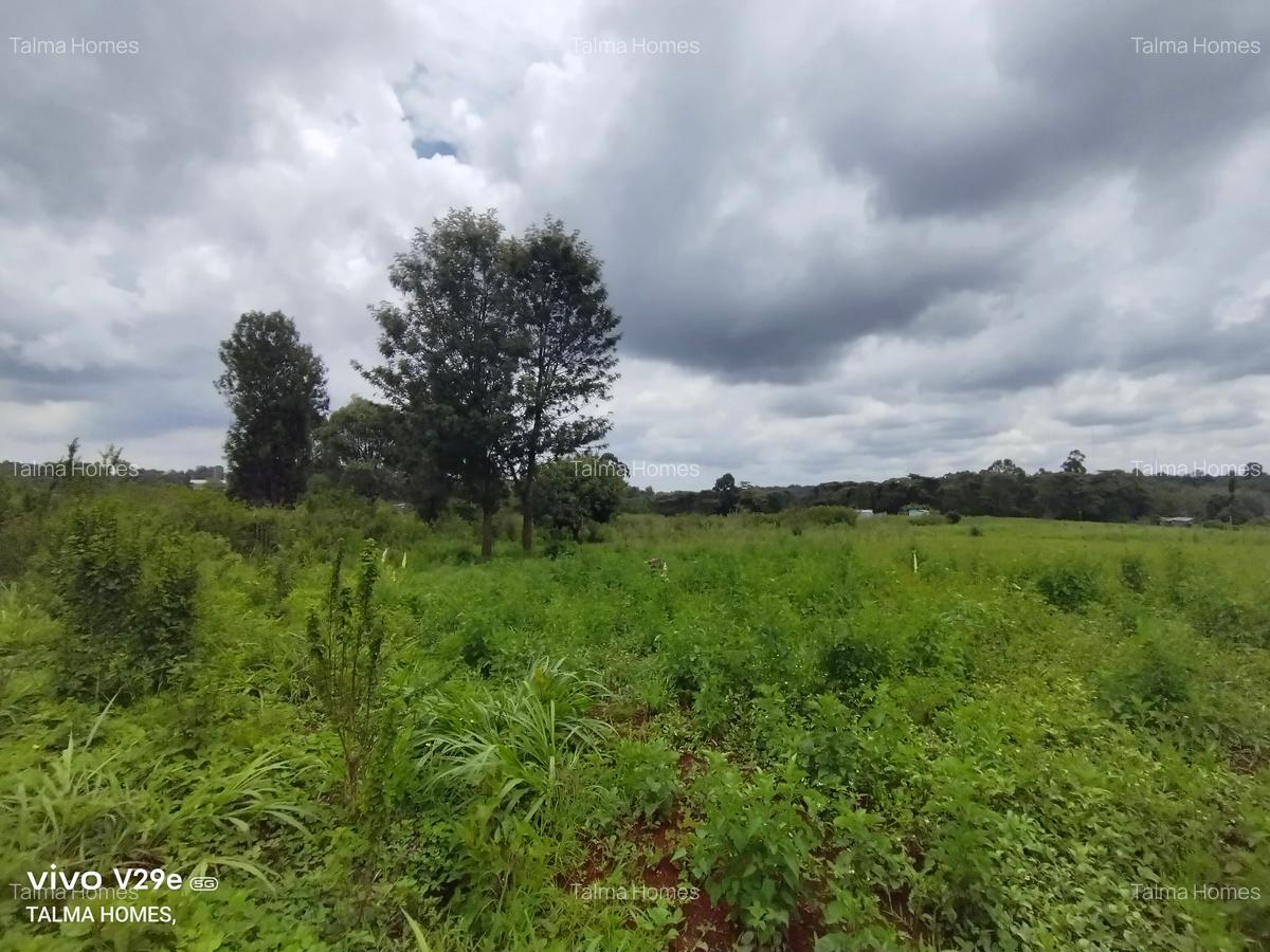 1 ac Land at Kerarapon Drive - 3