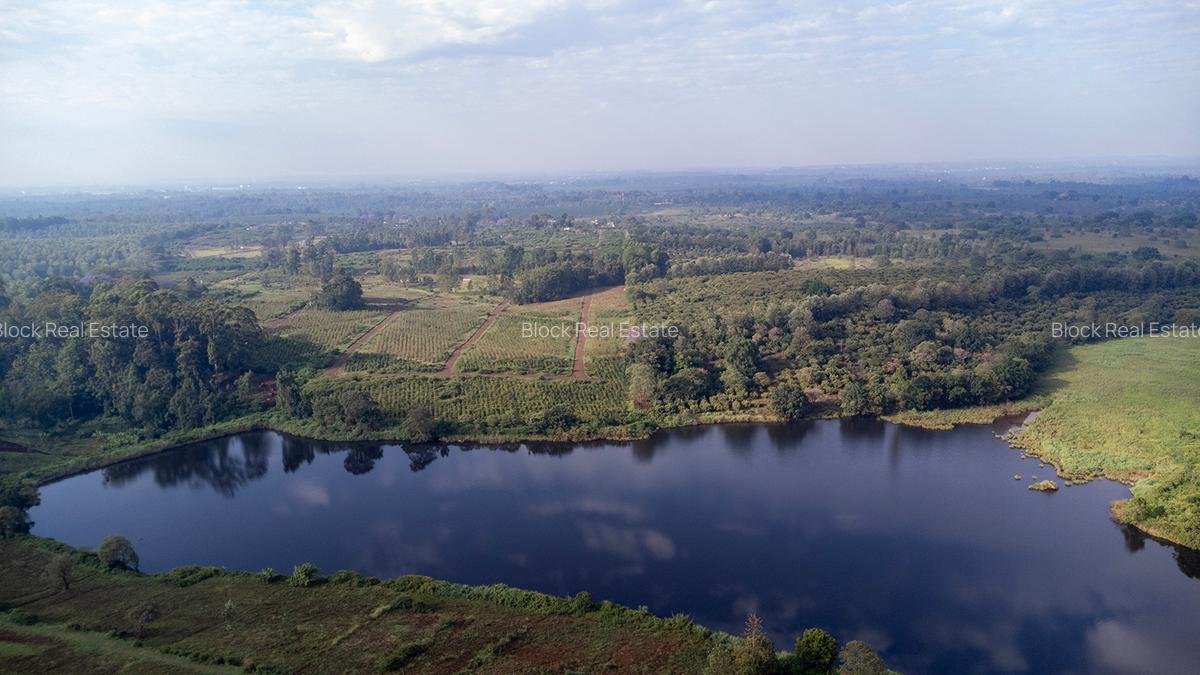 0.125 ac Residential Land in Ruiru - 1