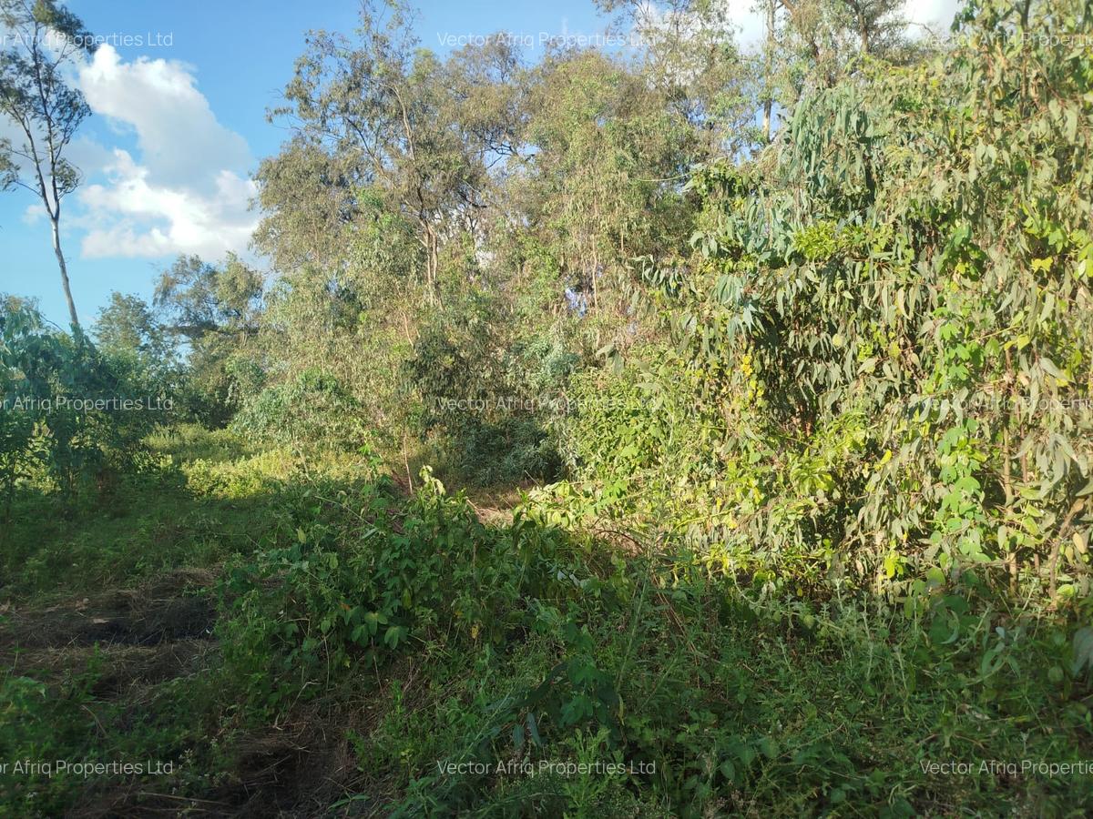 Residential Land at Karen - 3