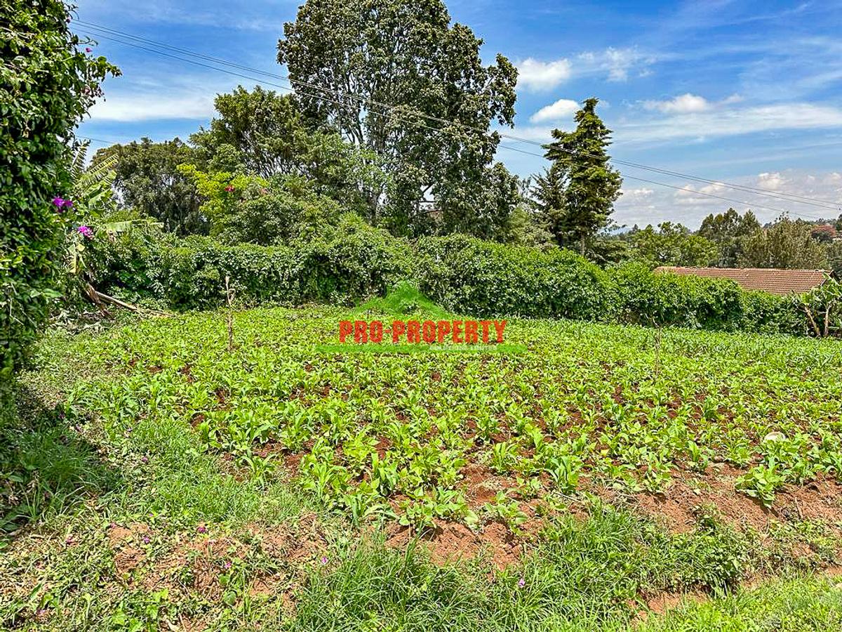 0.05 ha Commercial Land in Kikuyu Town - 5