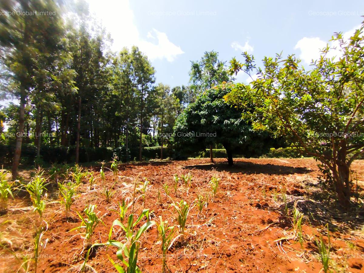 Land in Kiambu Road - 5