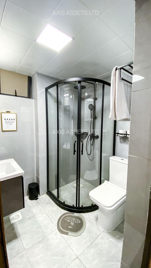 Furnished 2 Bed Apartment with En Suite in Riverside - 19