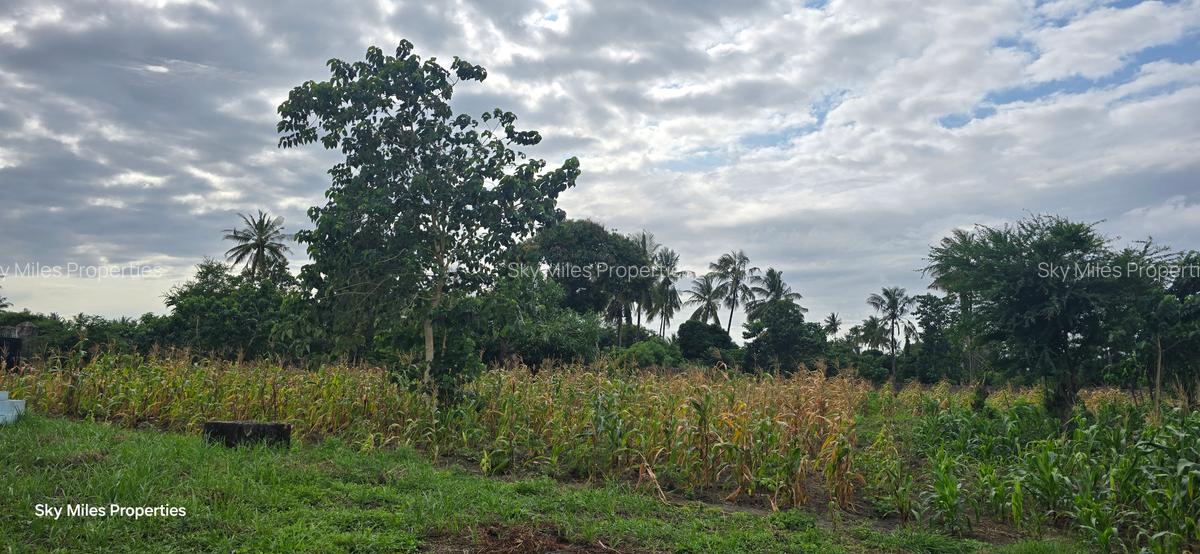 6 ac Land at Bomani - 2