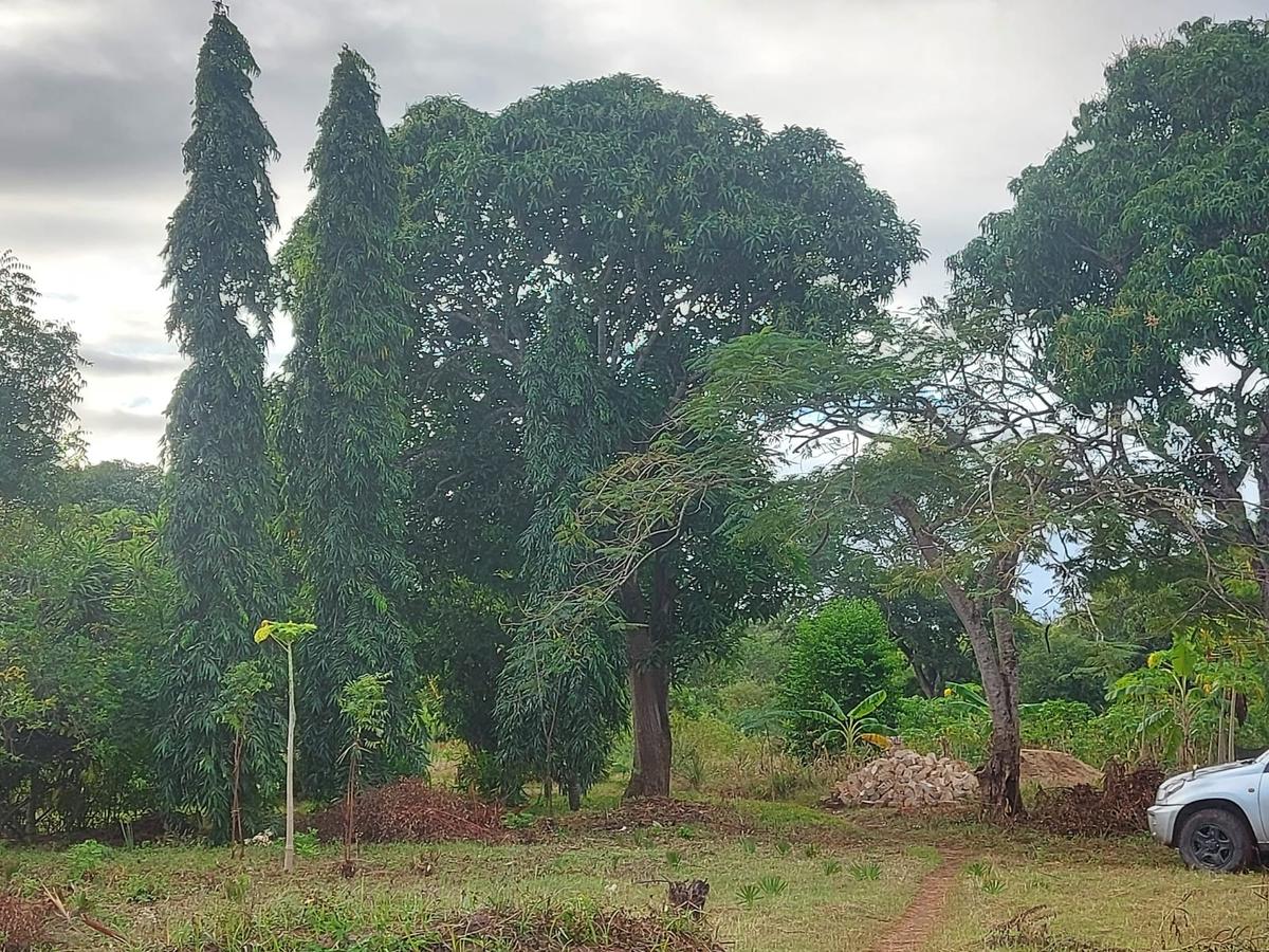 0.05 ha Land at Amani Tiwi Beach Estate - 5