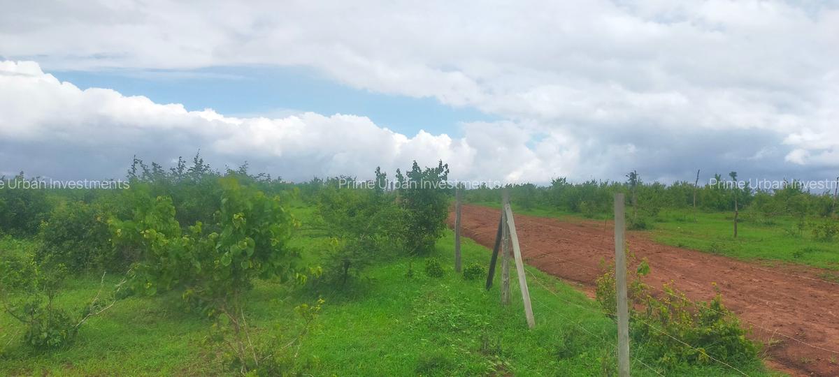 Land in Kilifi County - 16