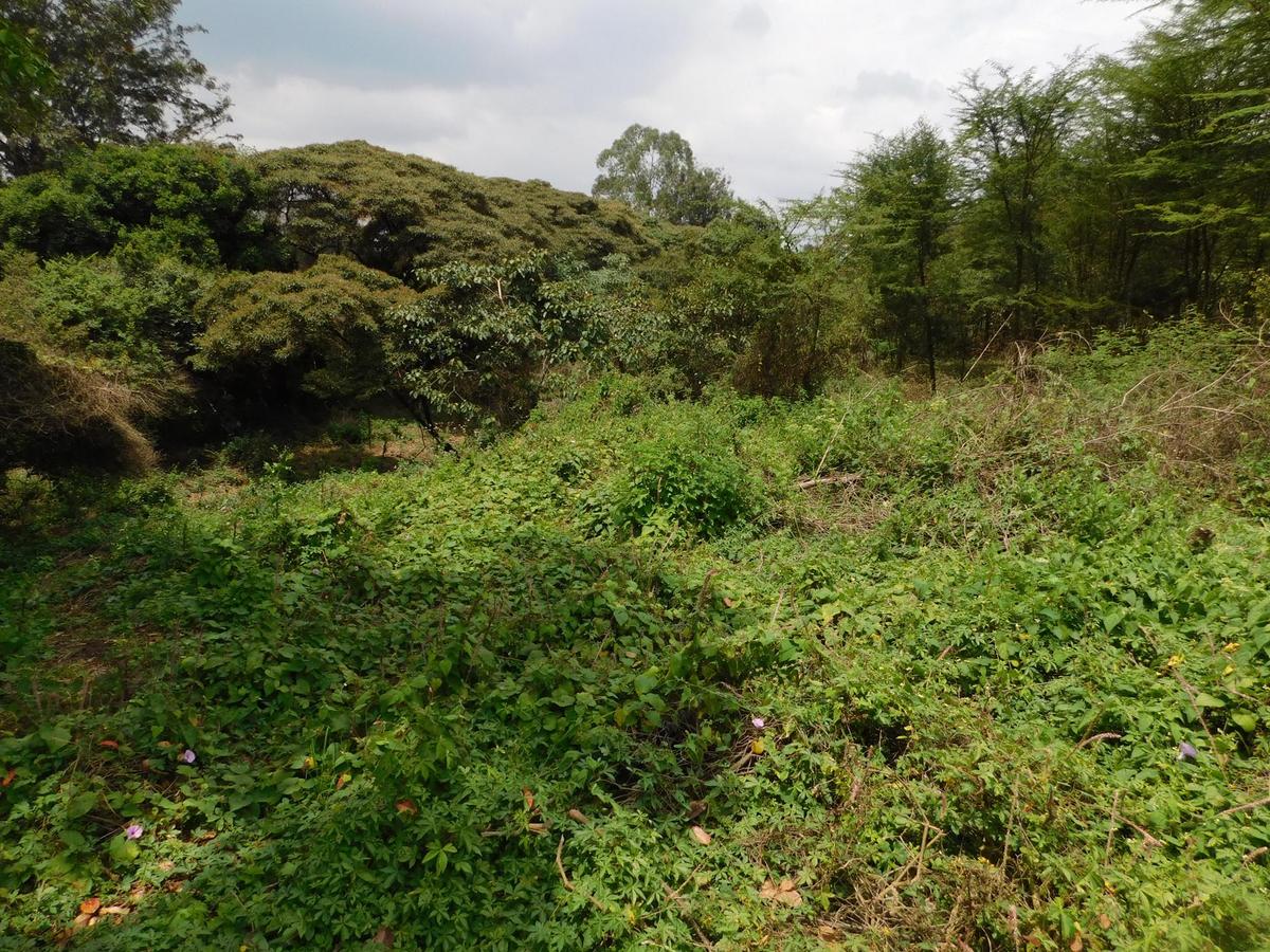 9 ac Land in Karen - 6