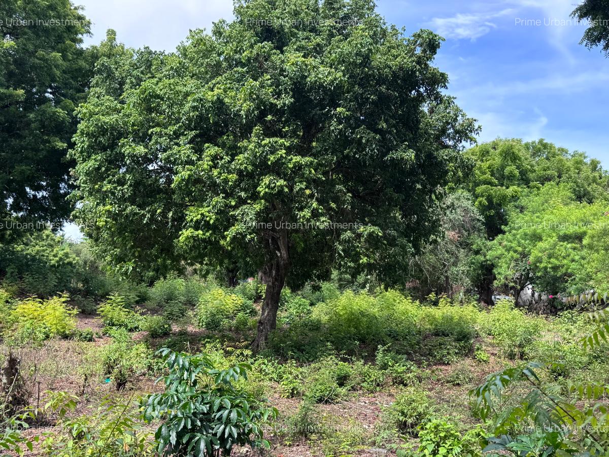 8,093.72 m² Land at Diani 3Rd Row Beach - 3