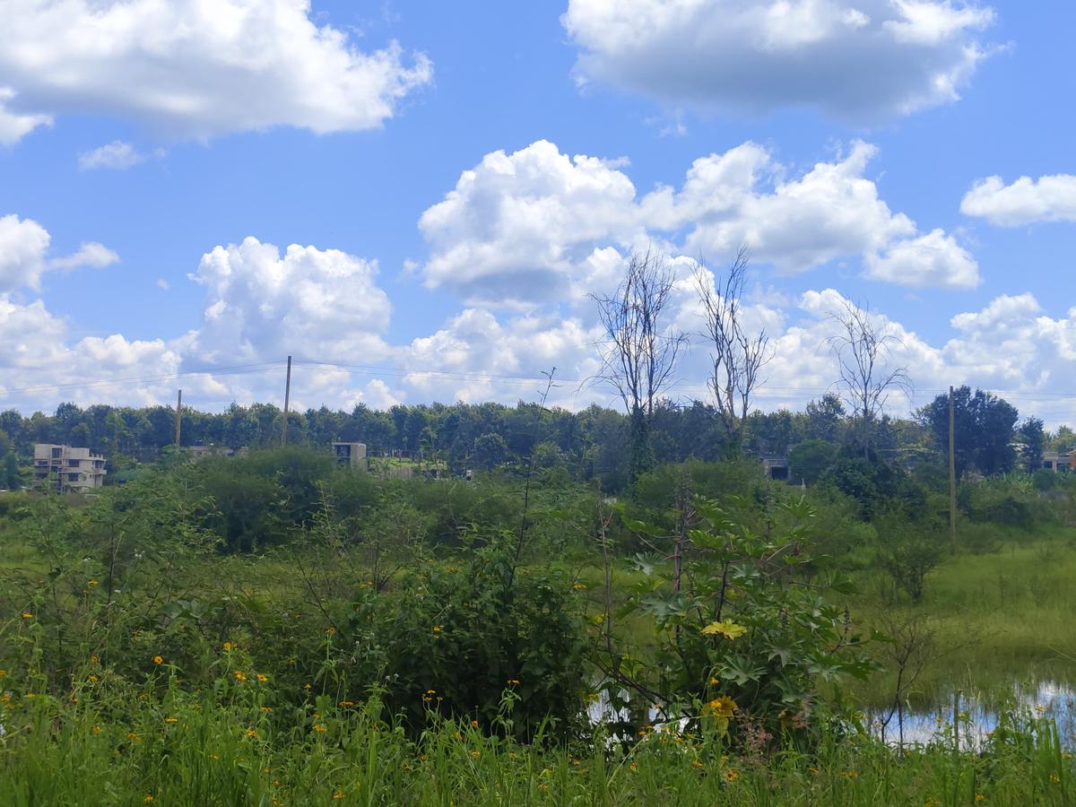 1 ac Commercial Land in Tatu City - 11