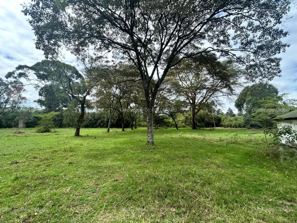 25 ac Land in Naivasha - 2