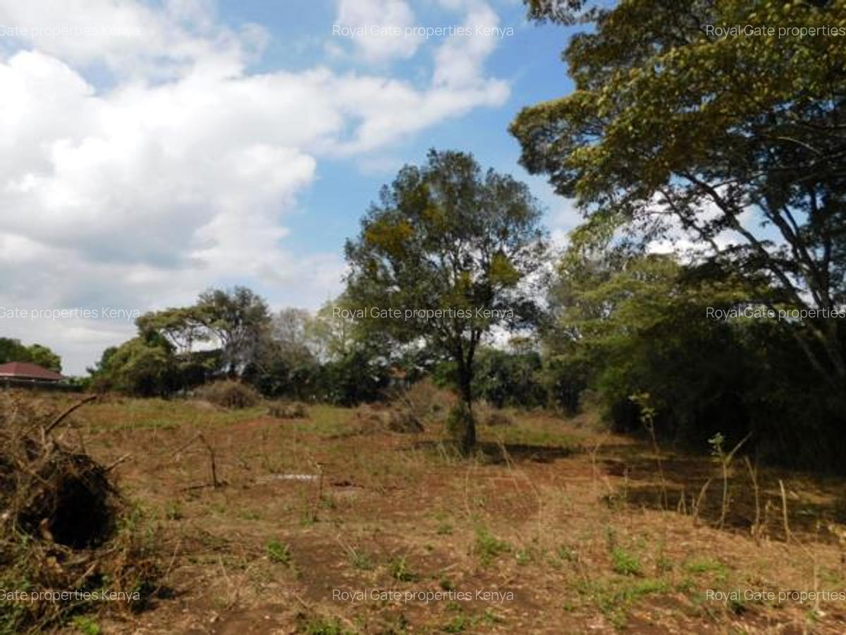 0.5 ac Residential Land at Nyari - 6