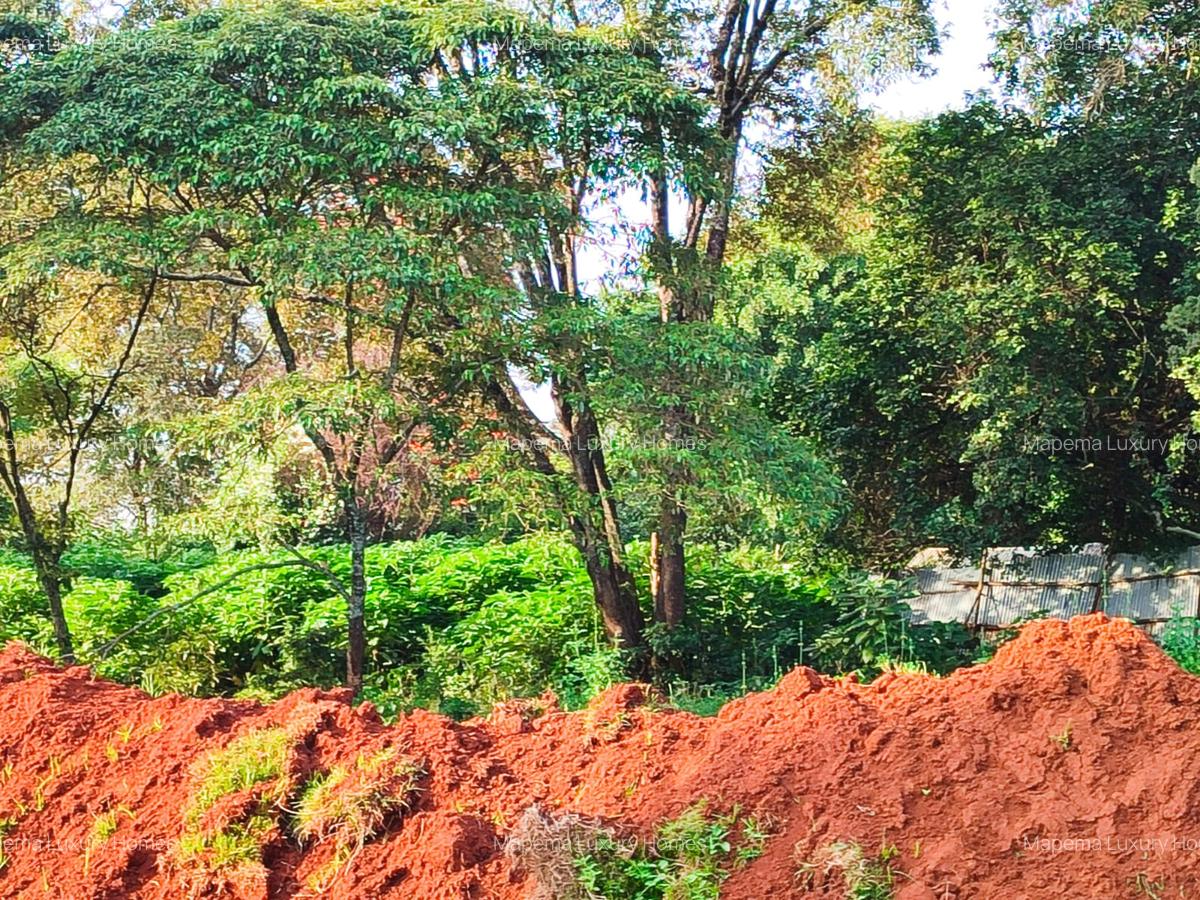 Residential Land at Karen - 6