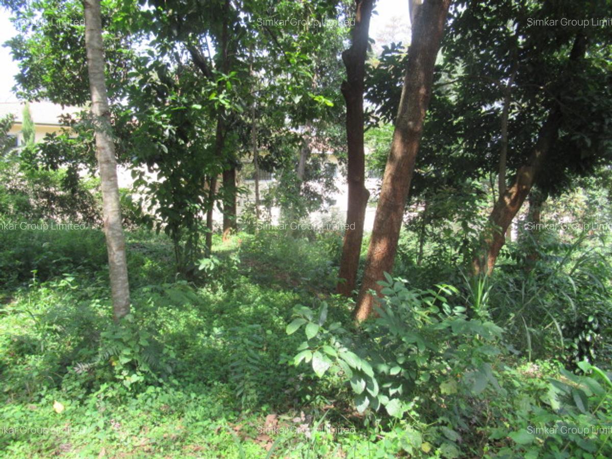 1 ac Land at Runda Grove - 7