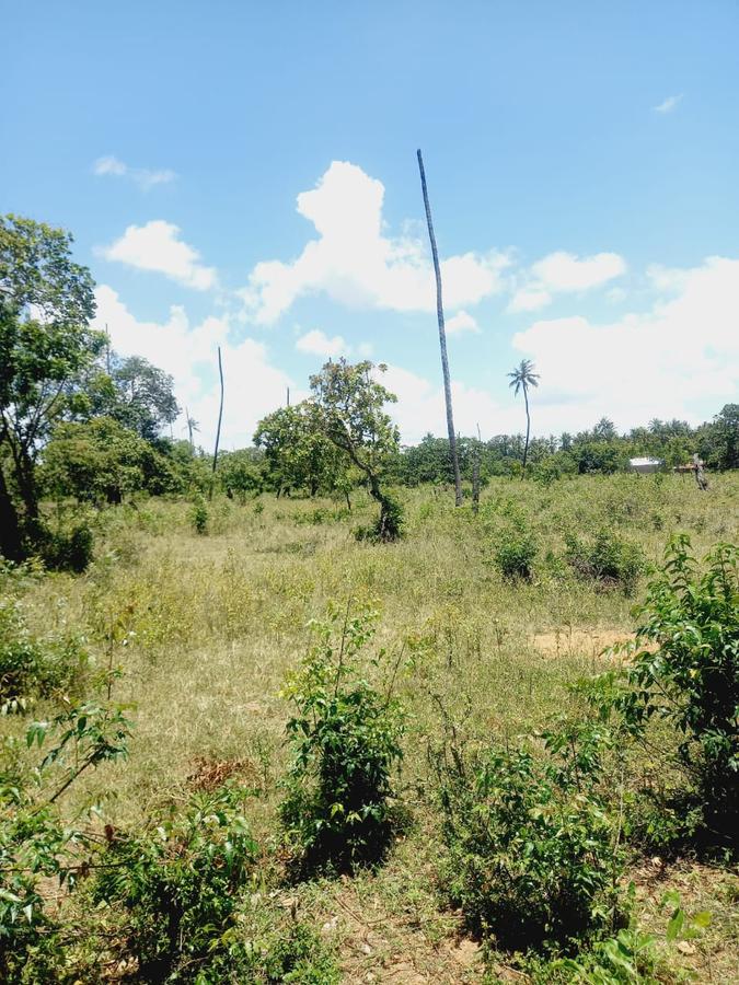 40 ac Residential Land in Kilifi - 6