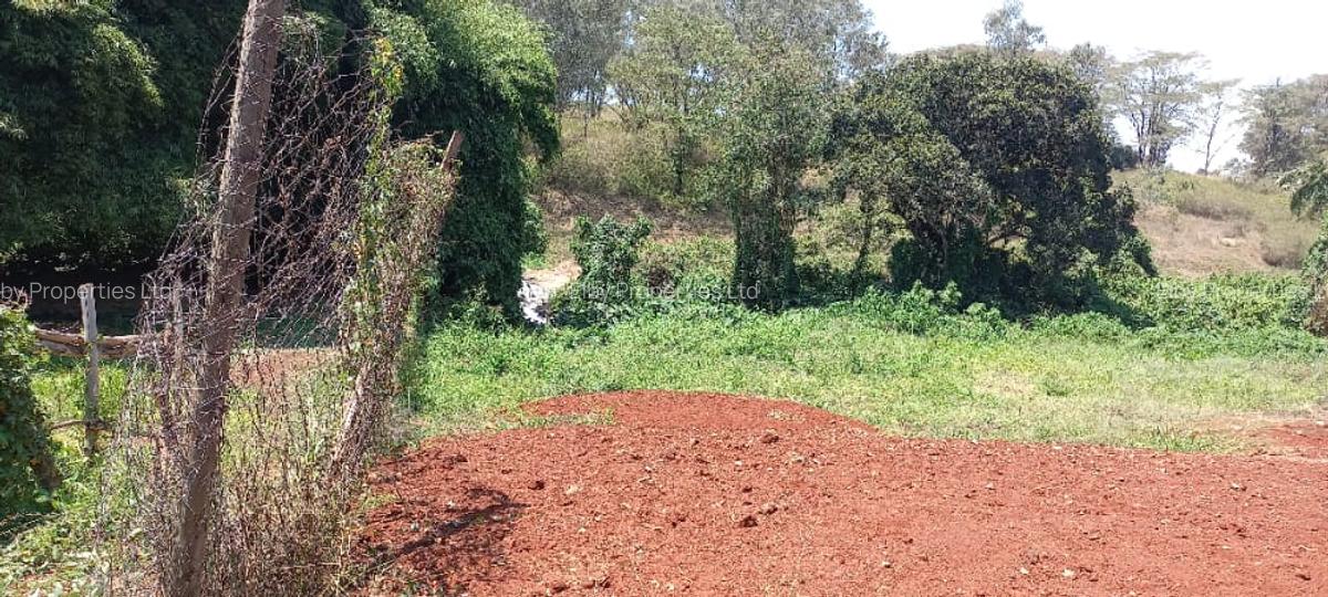 0.5 ac Residential Land at Muthithi - 5