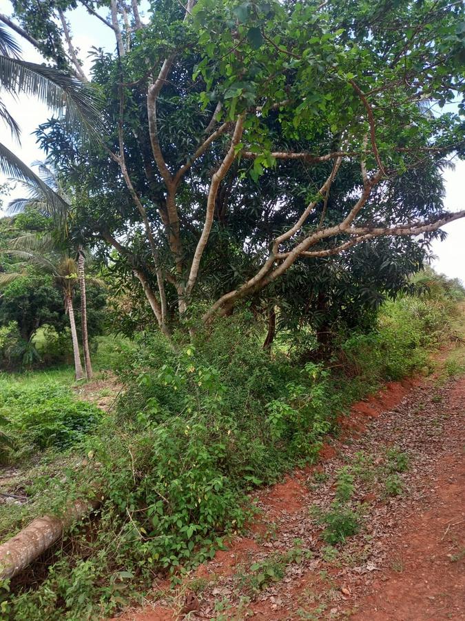 6 ac Land at Msambweni - 2