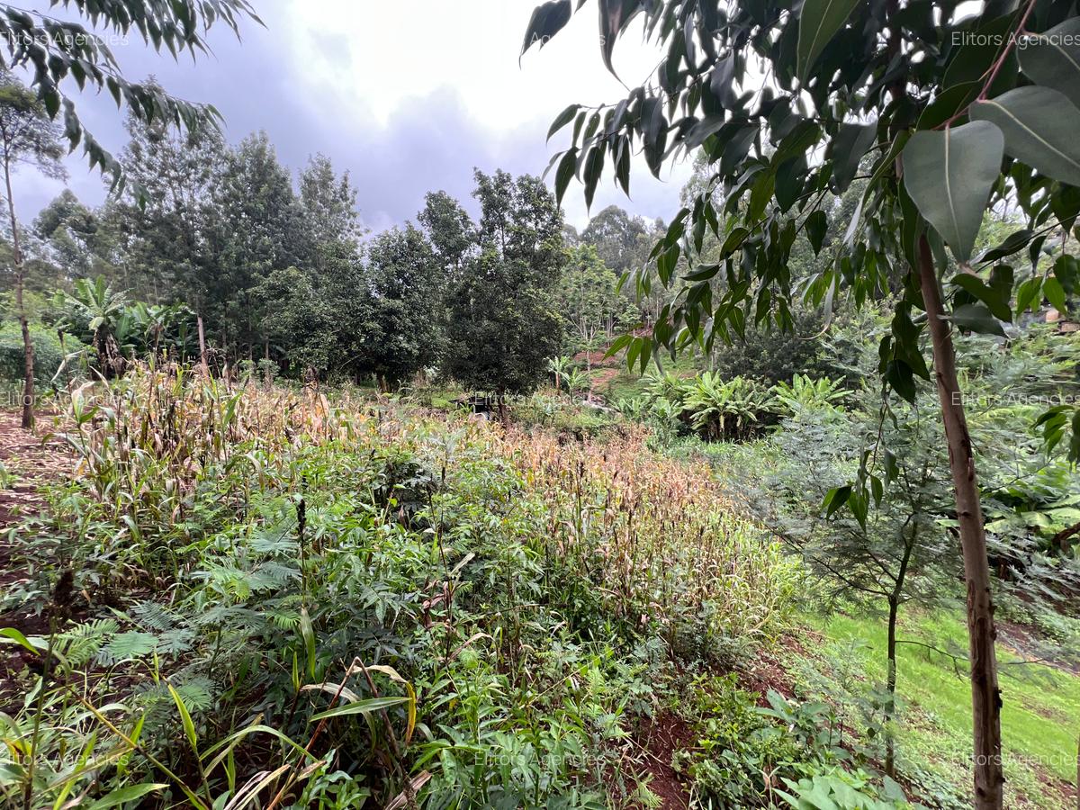 0.42 ac Residential Land at Kirawa Road - 7