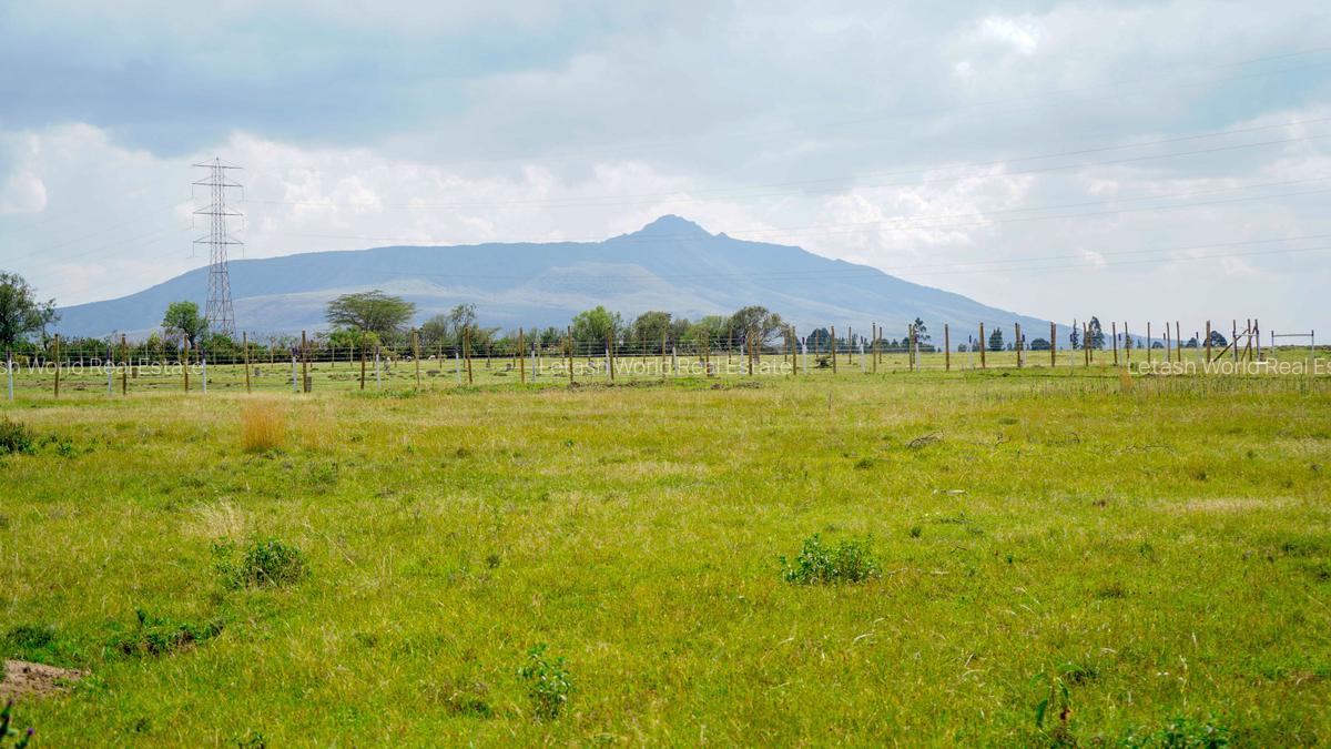 Residential Land in Naivasha - 4