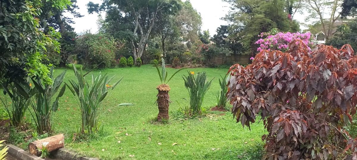 1.5 ac Land in Lavington - 9