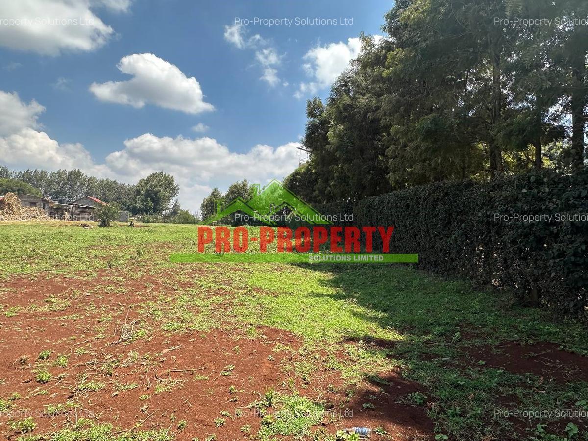 0.3 ha Land at Ondiri - 7