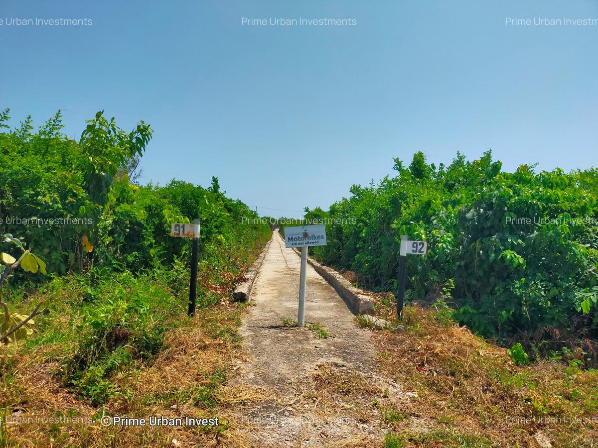 4,047 m² Residential Land at Vipingo Beach Estate - 19