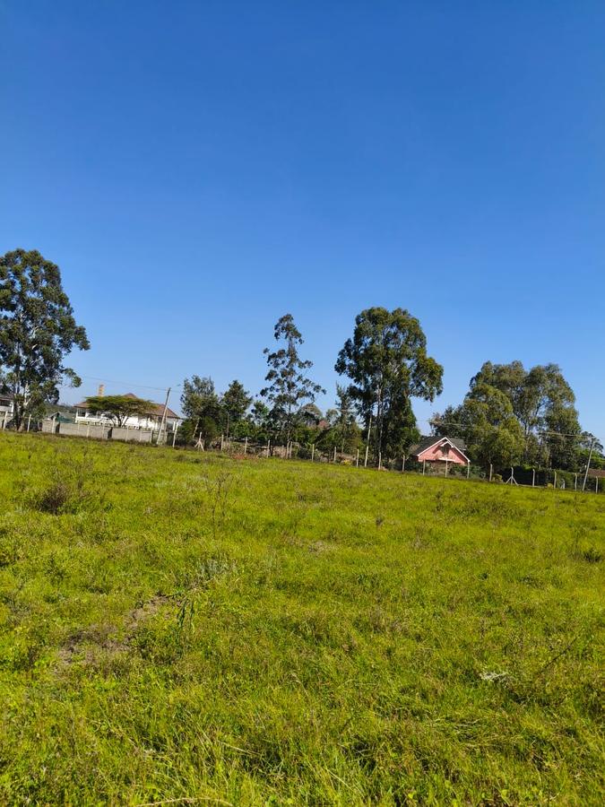 Residential Land at Marula Road - 11