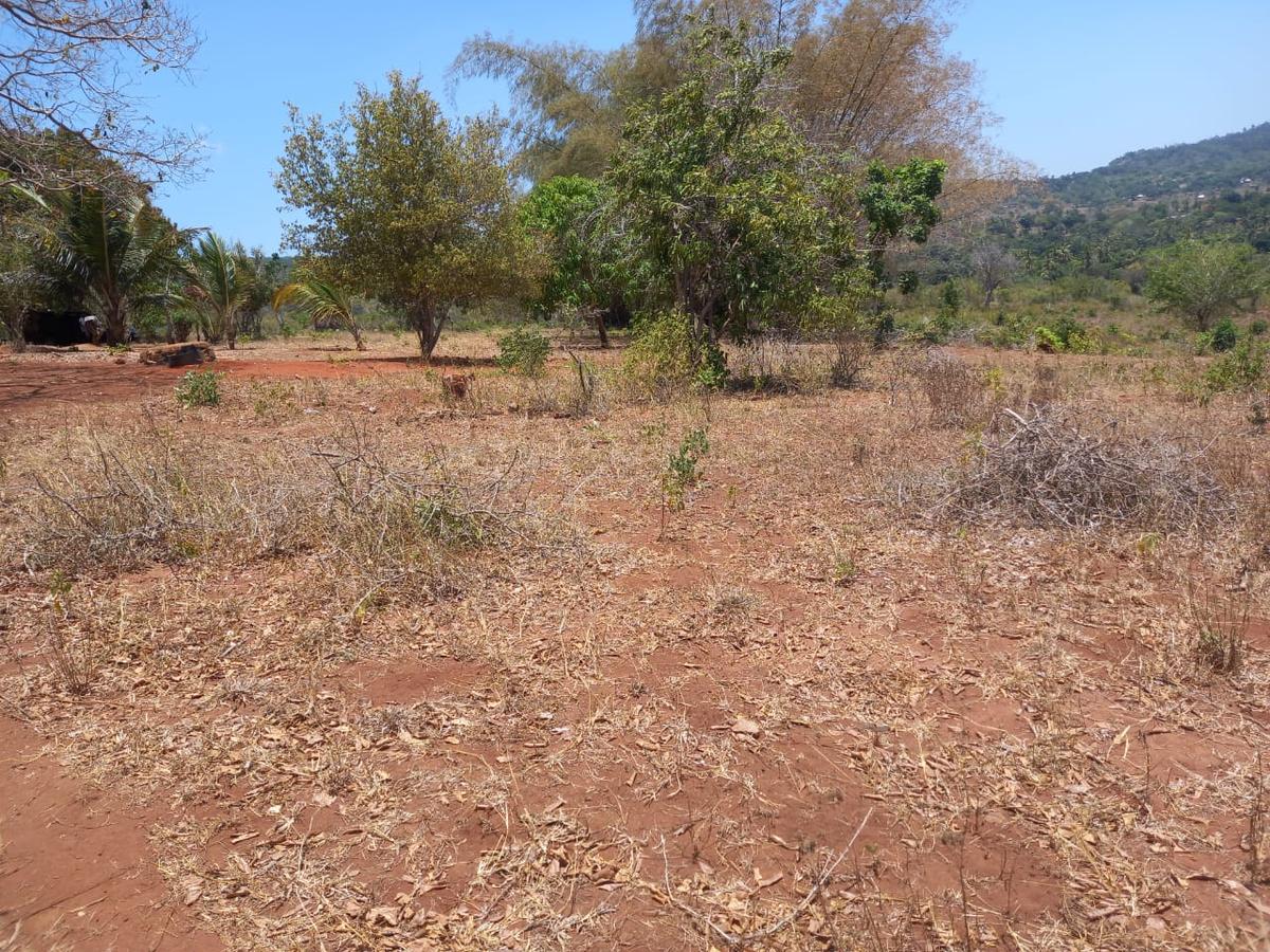 18 ac Land at Kwale - 10