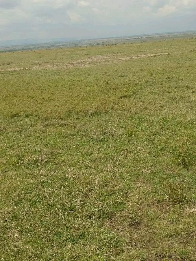 Residential Land in Nanyuki - 8