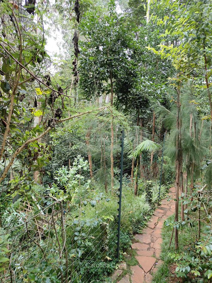 4 Bed Townhouse with En Suite at Westlands - 3