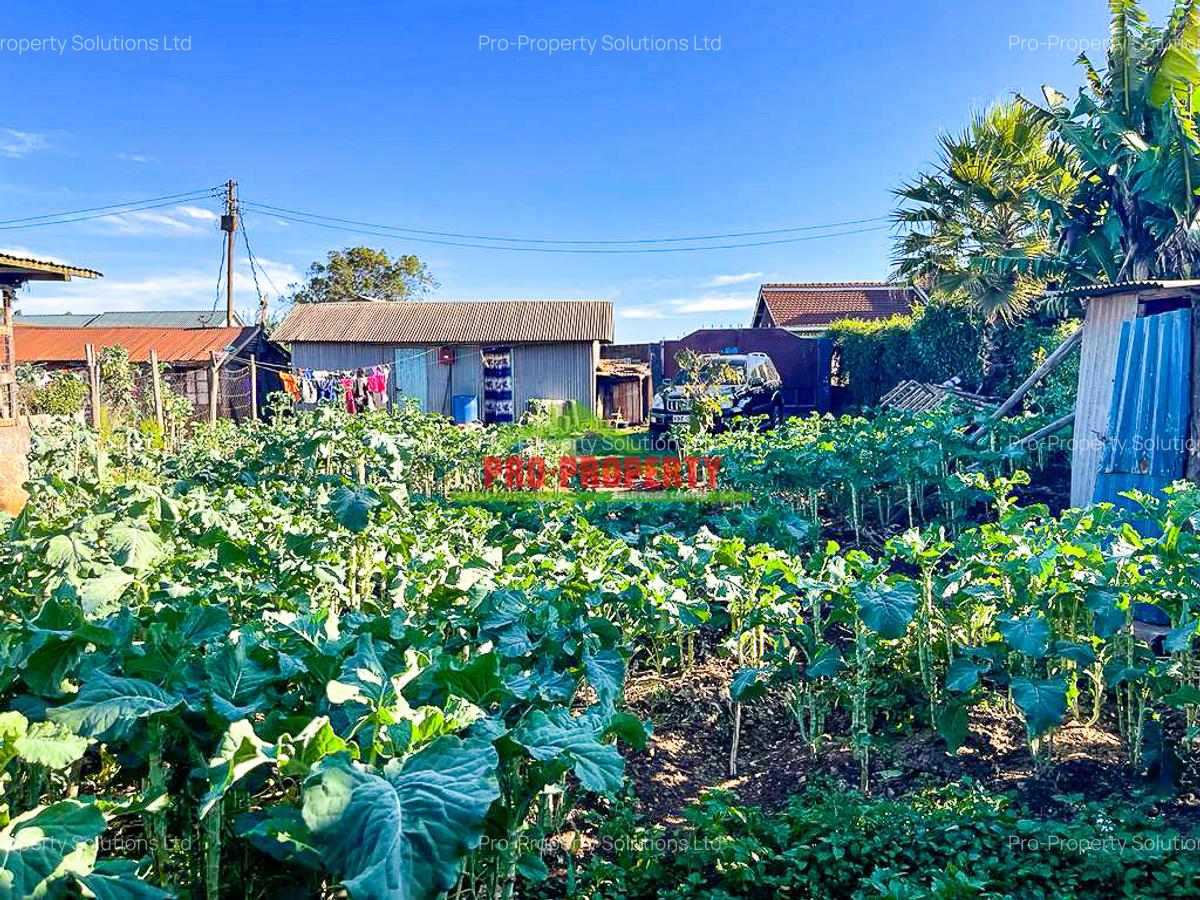 0.05 ha Commercial Land at Zambezi - 8