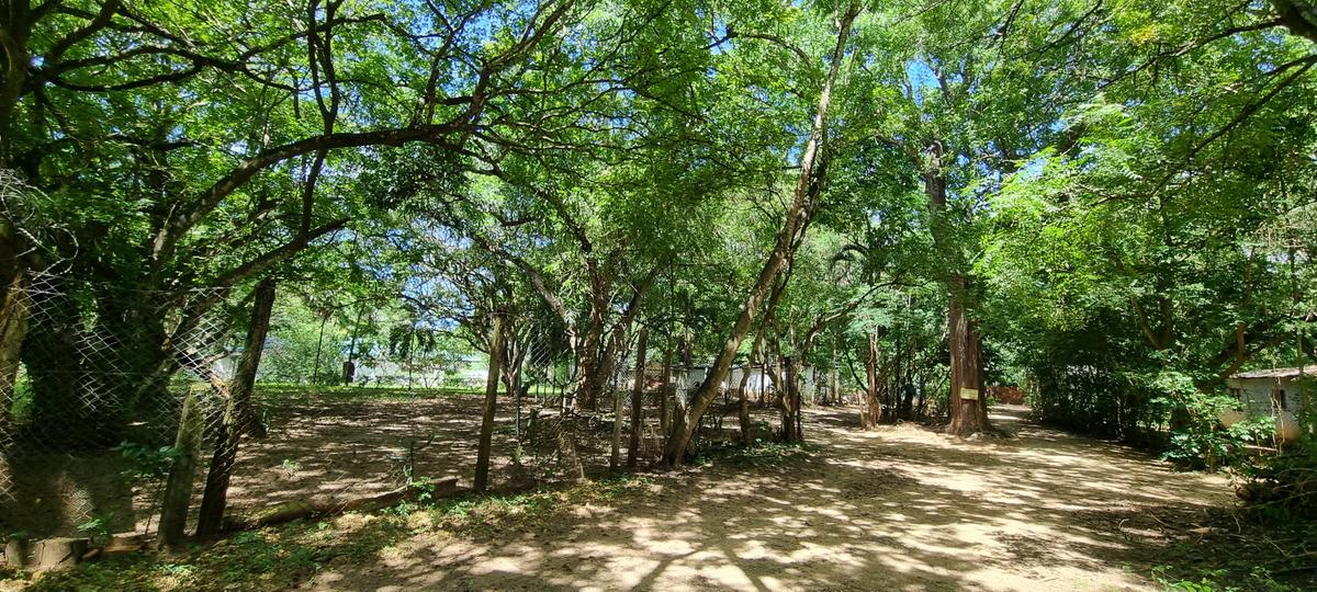 4.4 ac Land at Moorings - 10