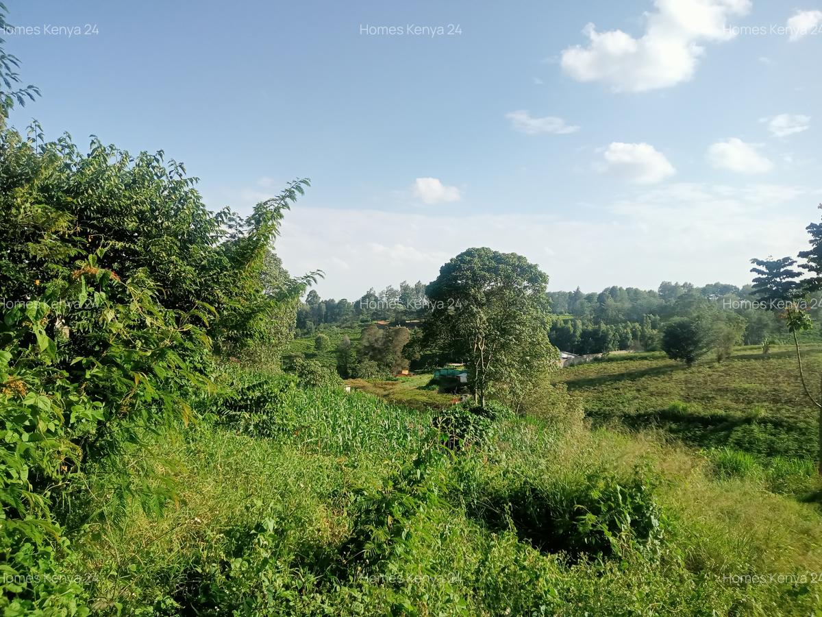 Land in Tigoni - 6
