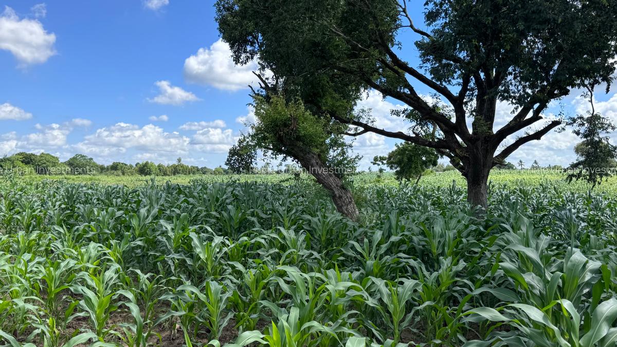 505 m² Land at Mavueni - 9