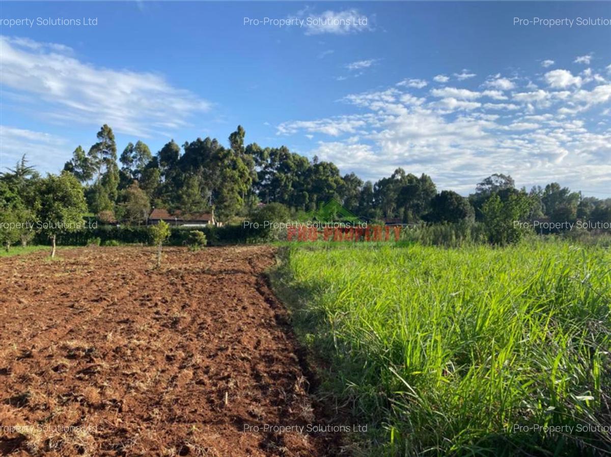 6,000 m² Land in Limuru - 8