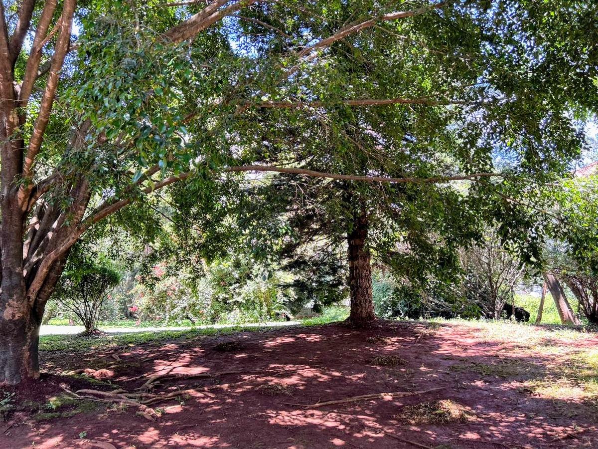 2 ac Land in Lavington - 10