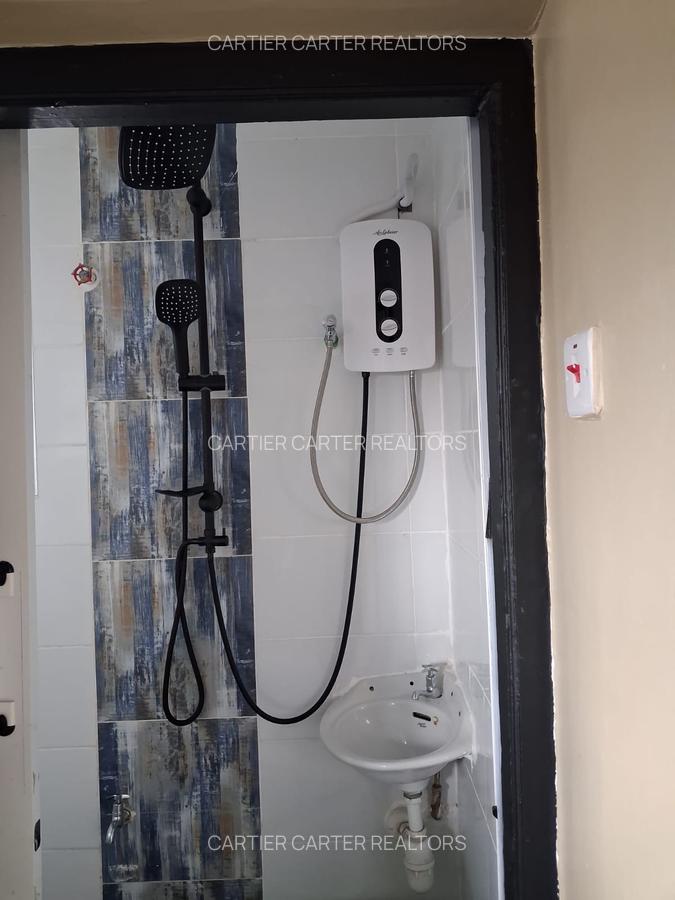 Furnished 1 Bed Apartment at Mumias Road - 3