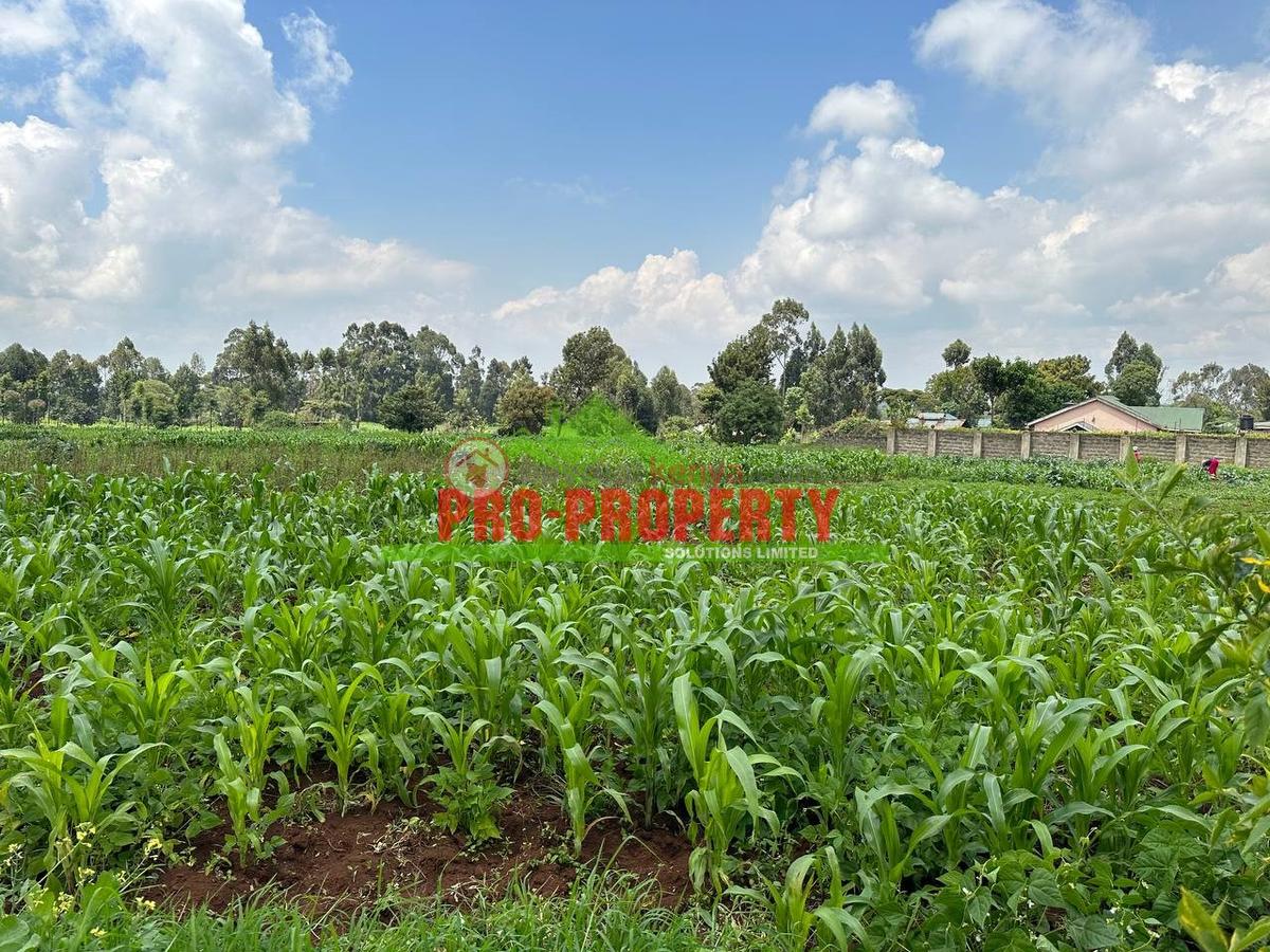 0.4 ha Land at Tilisi - 2