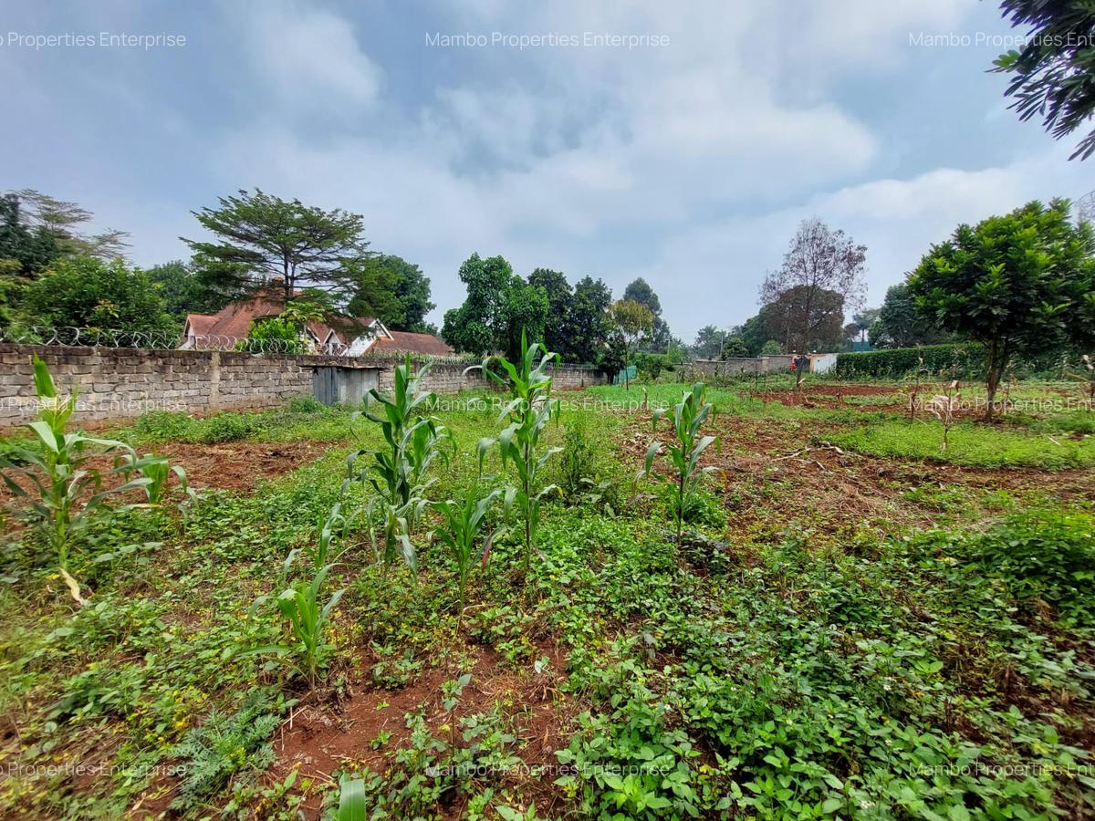 Residential Land at Off Pan African Insurance Avenue - 13
