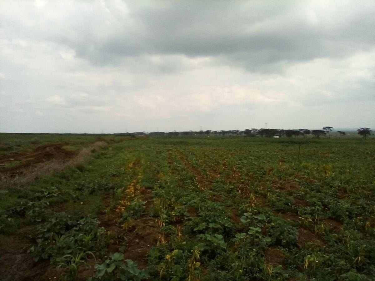 Land at Nanyuki-Rumuruti Rd - 6