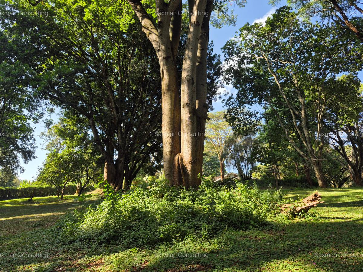 Land in Lower Kabete - 6