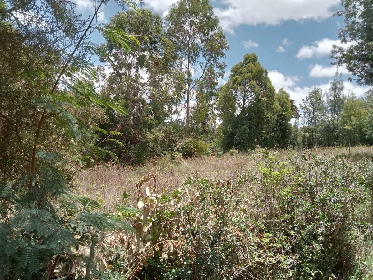 Residential Land at Upper Matasyia - 4