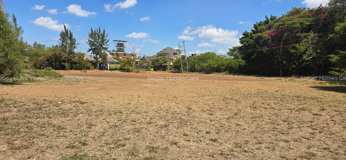 0.25 ac Land at Kamakis - 4