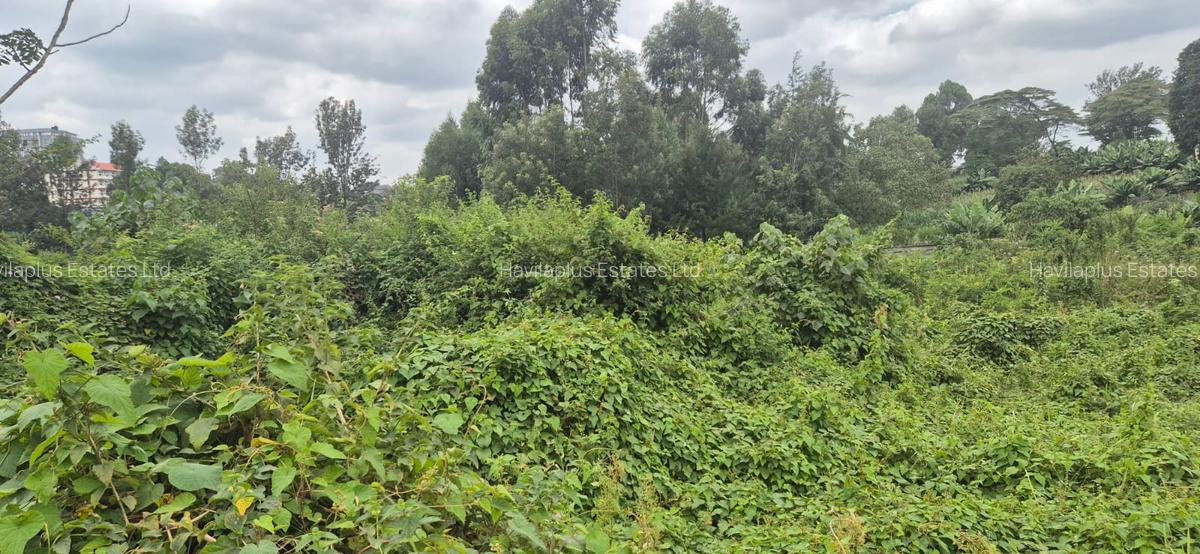 0.2147 ha Land in Uthiru - 7