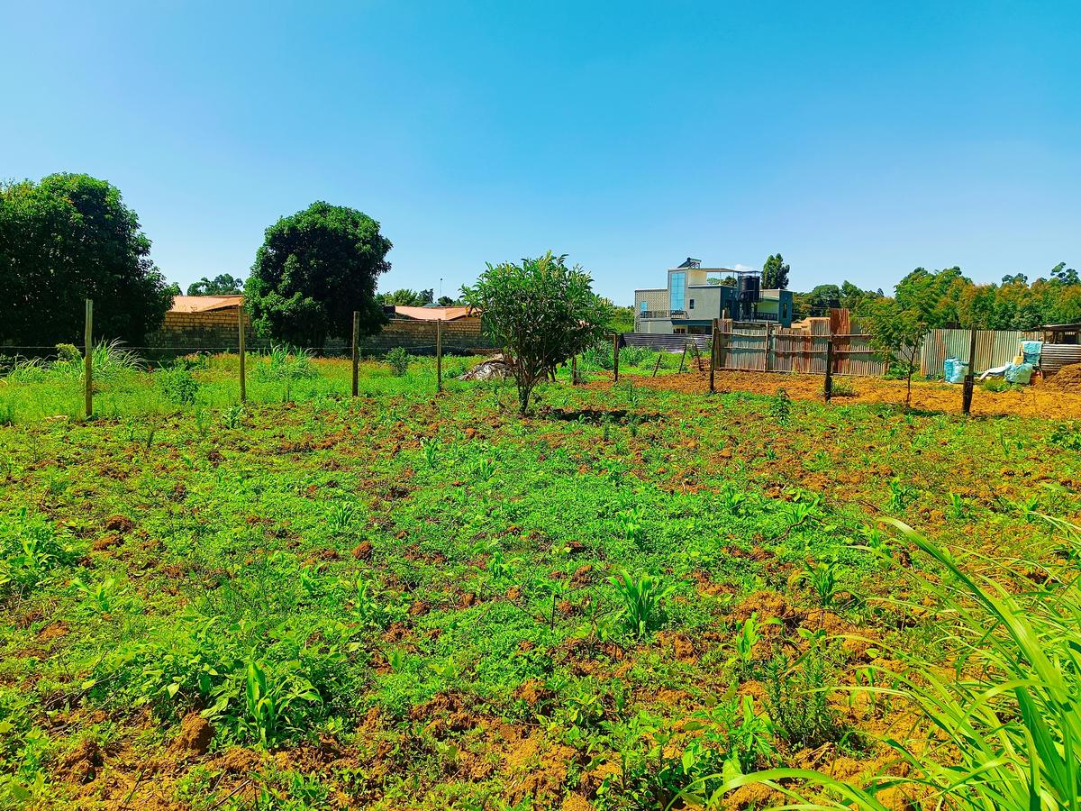 500 m² Residential Land at Kamangu - 1